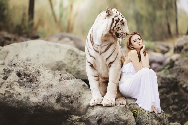 Wildlife Conservationist